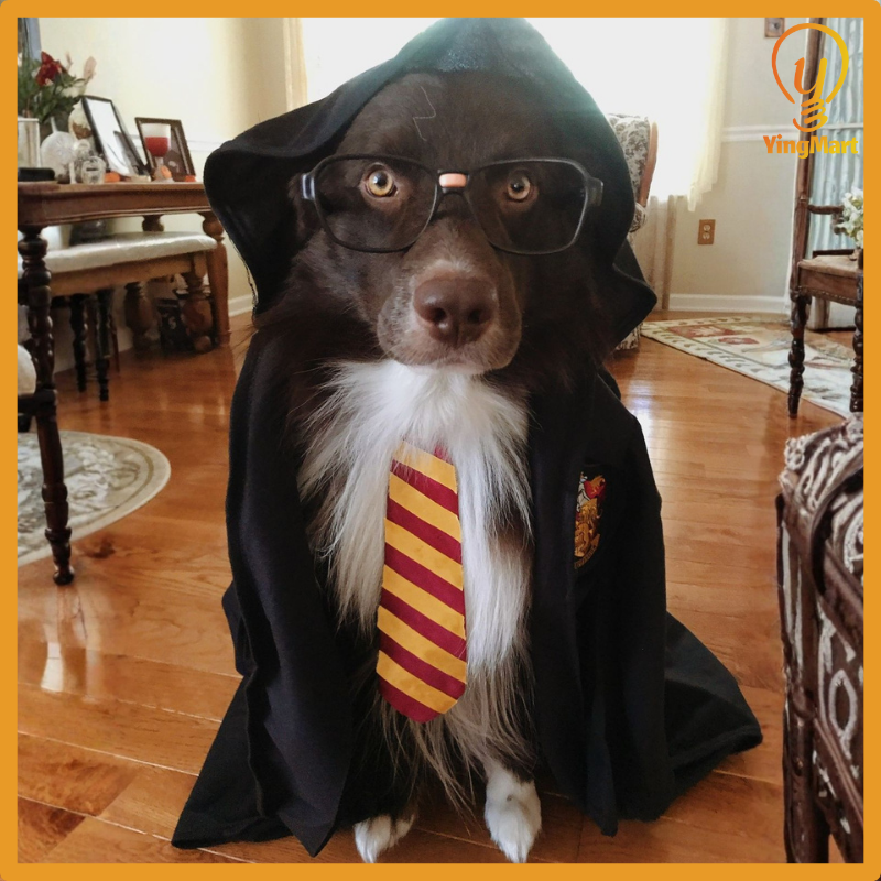 Embroidered Pet Cloak Cat Dog Costume Wizard Cape Halloween Outfit Cosplay Clothes