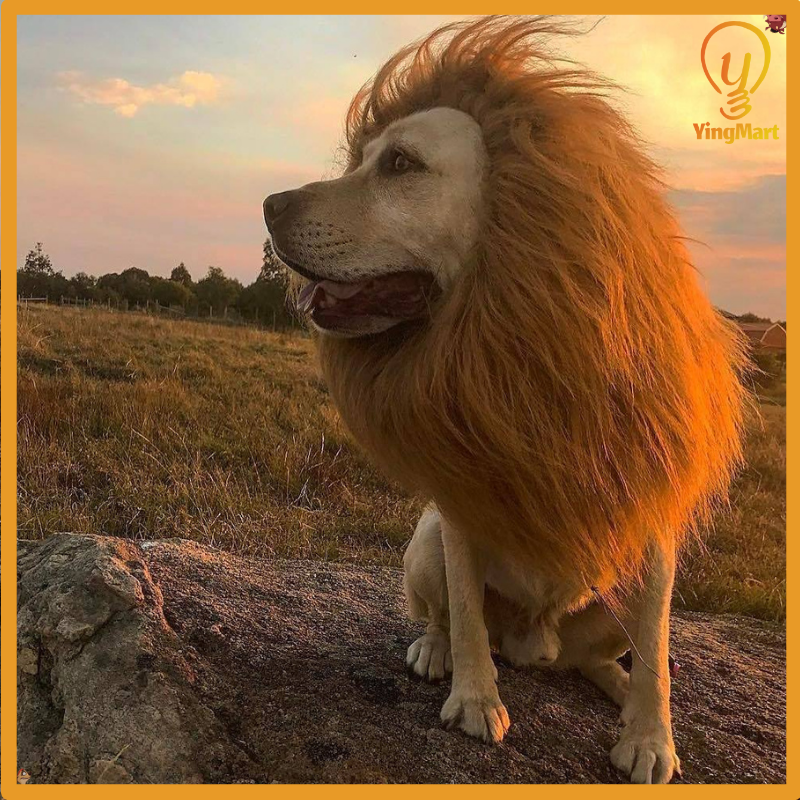 Lion Mane Wig Puppy Kitten Realistic Funny Halloween Cosplay Pet Costume Dog Cat Outfit