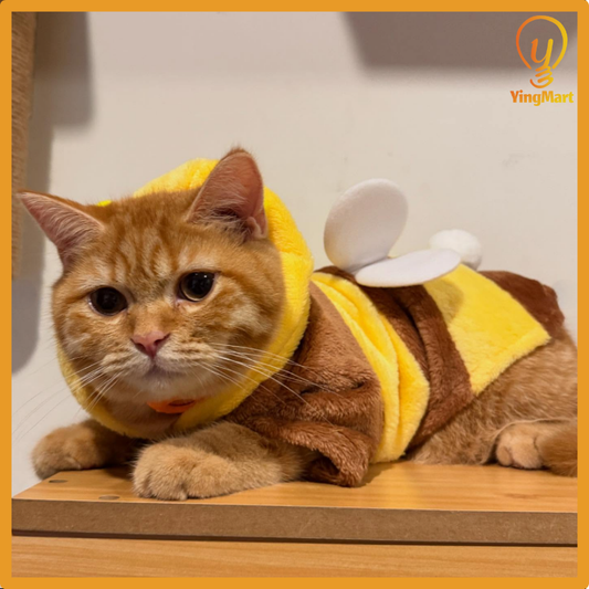 Plush Teddy Bear Pet Costume Hat Outfit for Cats Dogs Small Medium Large Halloween Cosplay Scary