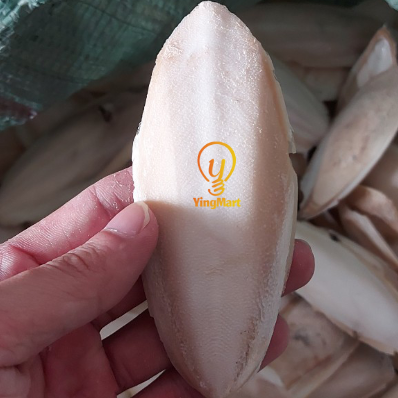 Natural Small Ocean Cuttlefish Bone Pack 100g, Friendly Calcium Supplement For Bird | Parrot | Snail | Teriumtanks | Reptiles | Worms | Tortoise