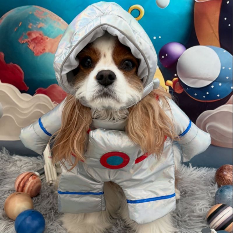 Pet Outfit Cats Dogs Astronaut Courier Standing Funny Halloween Cosplay Small Medium Large
