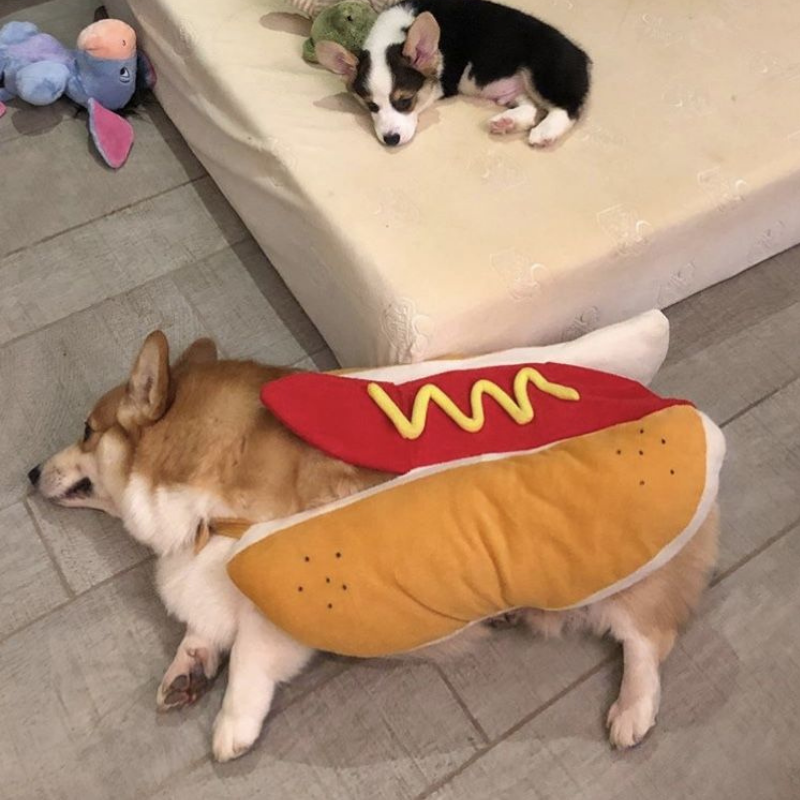Funny Pet Costume Warm Sausage Hotdog Outfit For Cat Dog Halloween Christmas Party Cosplay