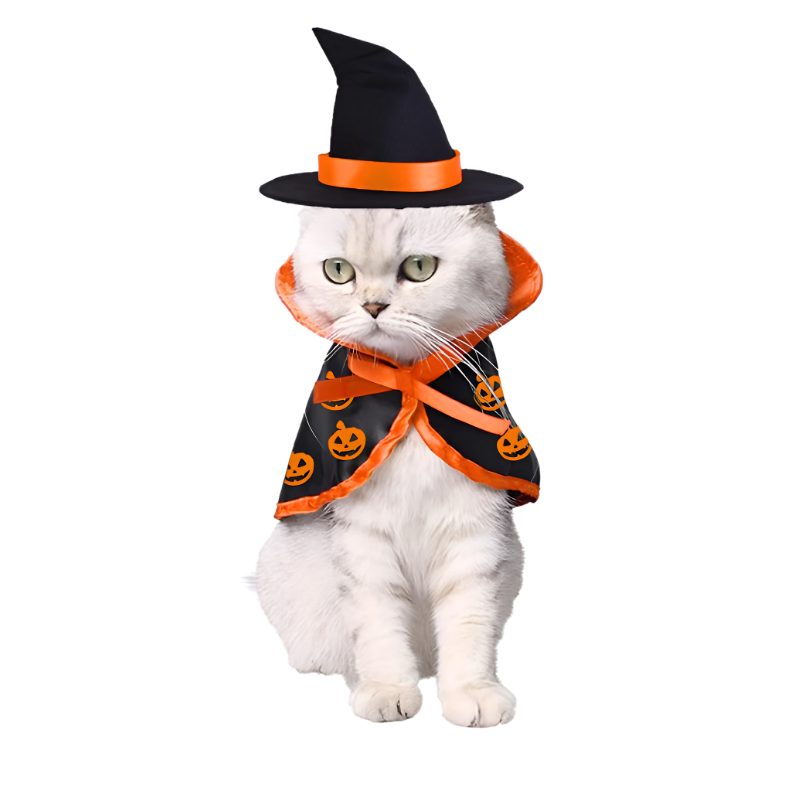 YingMart Halloween Pet Cloak Cat Dog Christmas Dressing – Transfiguration Pet Witch Cloak Cosplay Cape, Easy Fit Halloween Costume