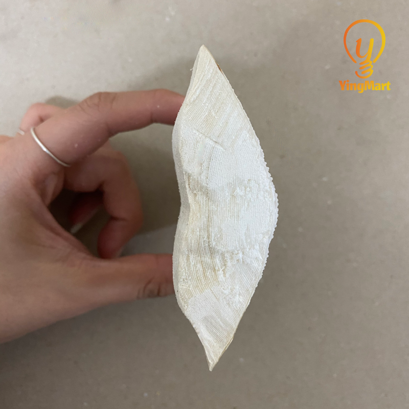 Natural Large Ocean Cuttlefish Bone Pack 100g, Friendly Calcium Supplement For Birds | Parrot | Parakeet | Casting Sterling Silver| Jewelry Making