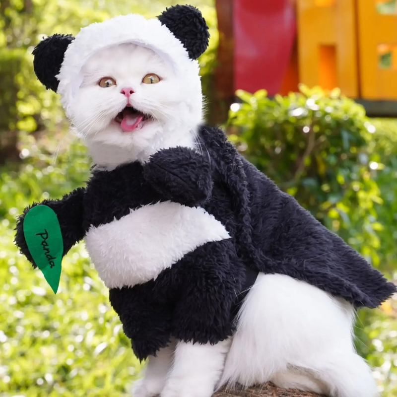 Funny Panda Pet Costume Dress Up Outfit for Dogs Cats Halloween Cosplay Clothes