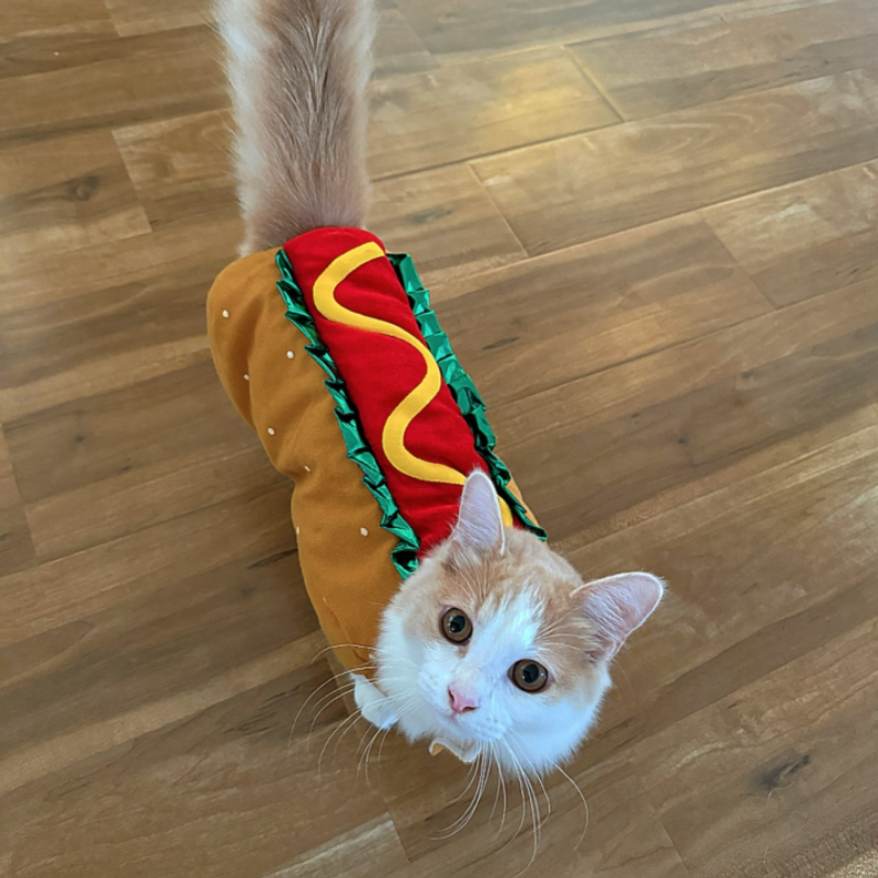 Hot Dog Pet Outfit Cats Puppies Funny Food Hamburger Theme Halloween Party Cosplay Clothes