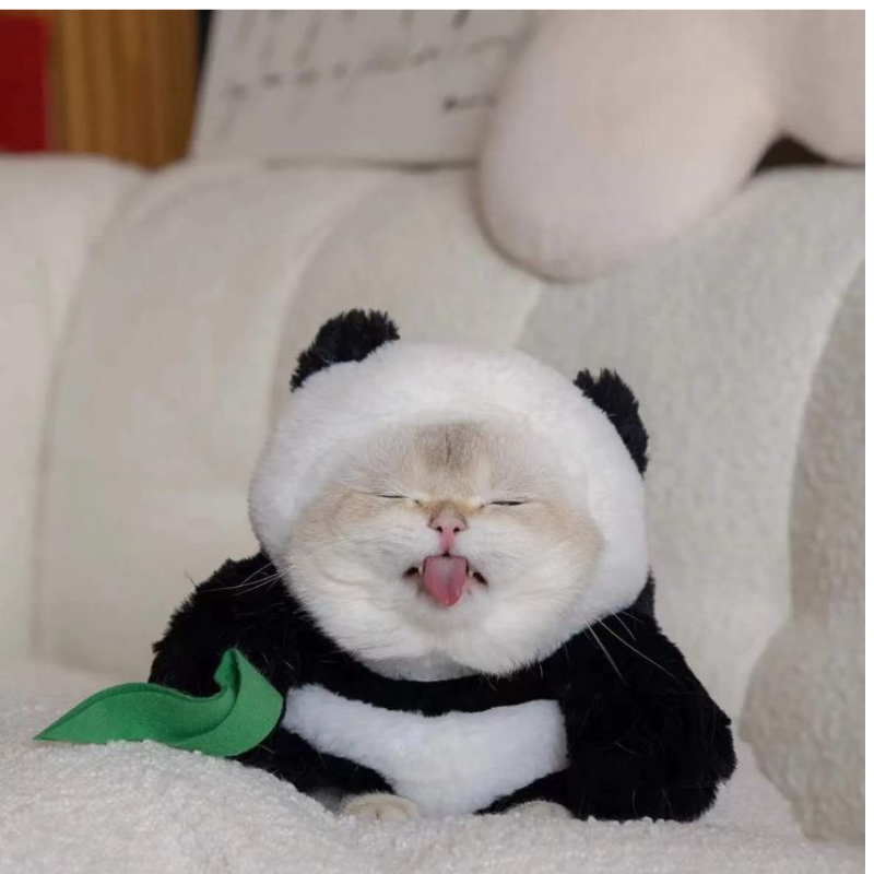 Funny Panda Pet Costume Dress Up Outfit for Dogs Cats Halloween Cosplay Clothes