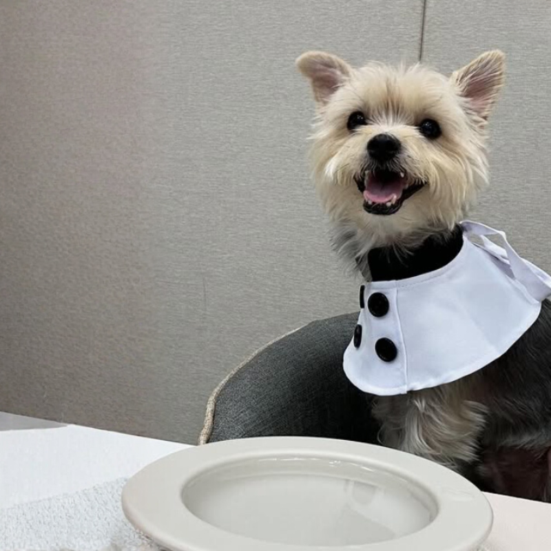 Dog Chef Costume Hat Set Pet Shirt Halloween Cosplay Outfit for Cats Small Large Dogs