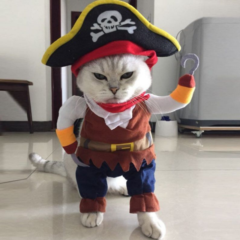 Pirate Costume Set With Hat Cosplay Halloween Christmas Pet Dog Cat Small Medium Large Cute Scary