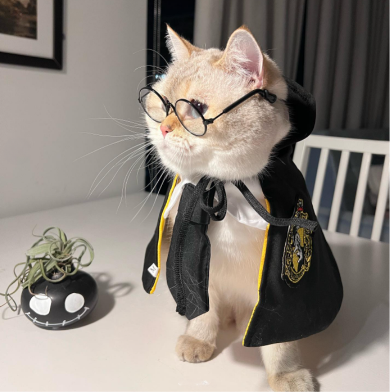 Embroidered Pet Cloak Cat Dog Costume Wizard Cape Halloween Outfit Cosplay Clothes