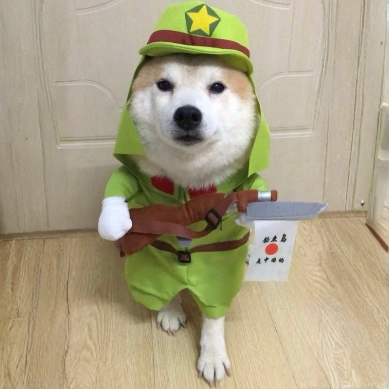 Funny Soldier Pet Costume for Dogs Cats Halloween Cosplay Outfit Cute Pet Shirt