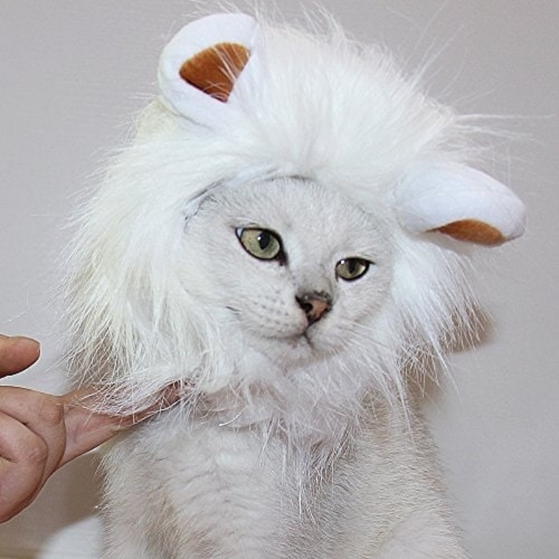 Lion Mane Pet Costume Wig Hat for Cats Dogs Funny Halloween Cosplay Outfit