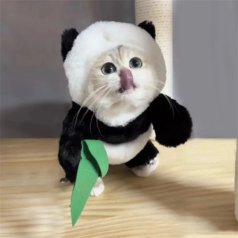 Funny Panda Pet Costume Dress Up Outfit for Dogs Cats Halloween Cosplay Clothes