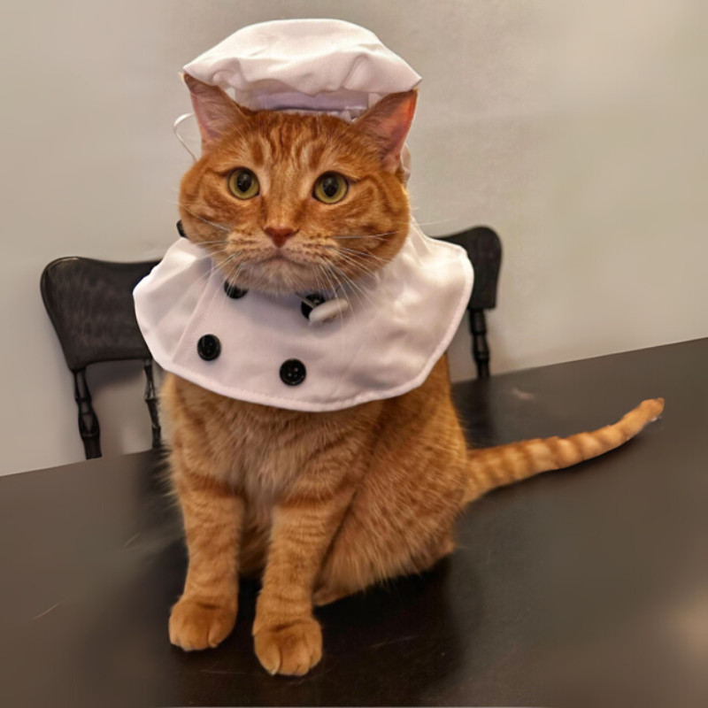 Dog Chef Costume Hat Set Pet Shirt Halloween Cosplay Outfit for Cats Small Large Dogs