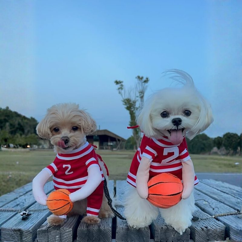 Basketball Player Pet Costume Dogs Cats Jersey Plush Ball Funny Halloween Cosplay Outfit