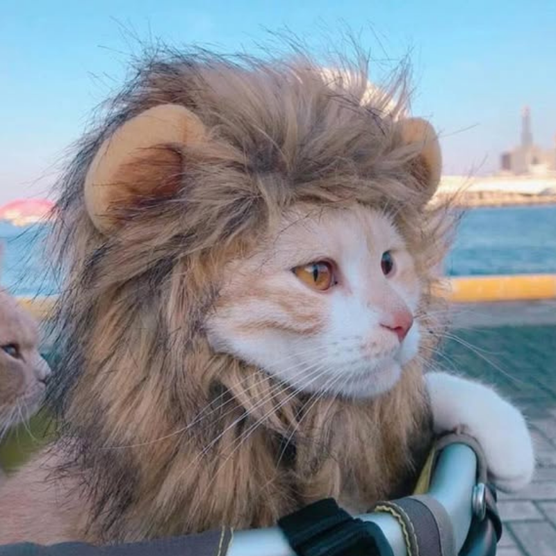 Lion Mane Wig Puppy Kitten Realistic Funny Halloween Cosplay Pet Costume Dog Cat Outfit
