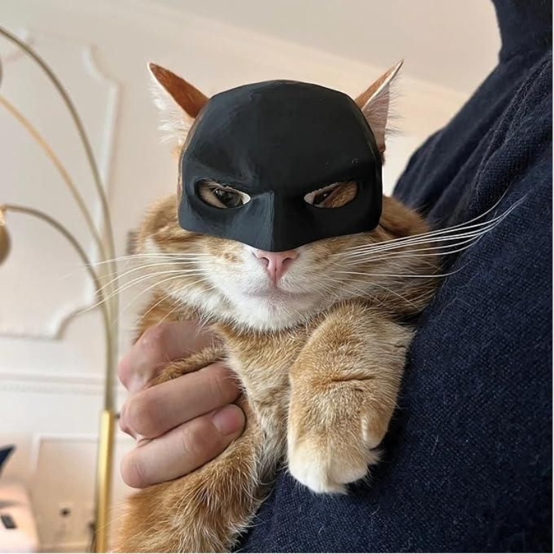 Pet Cat Dog Mask Half-Face Black Bat Handmade Adjustable Funny Halloween Cosplay Outfit Costume