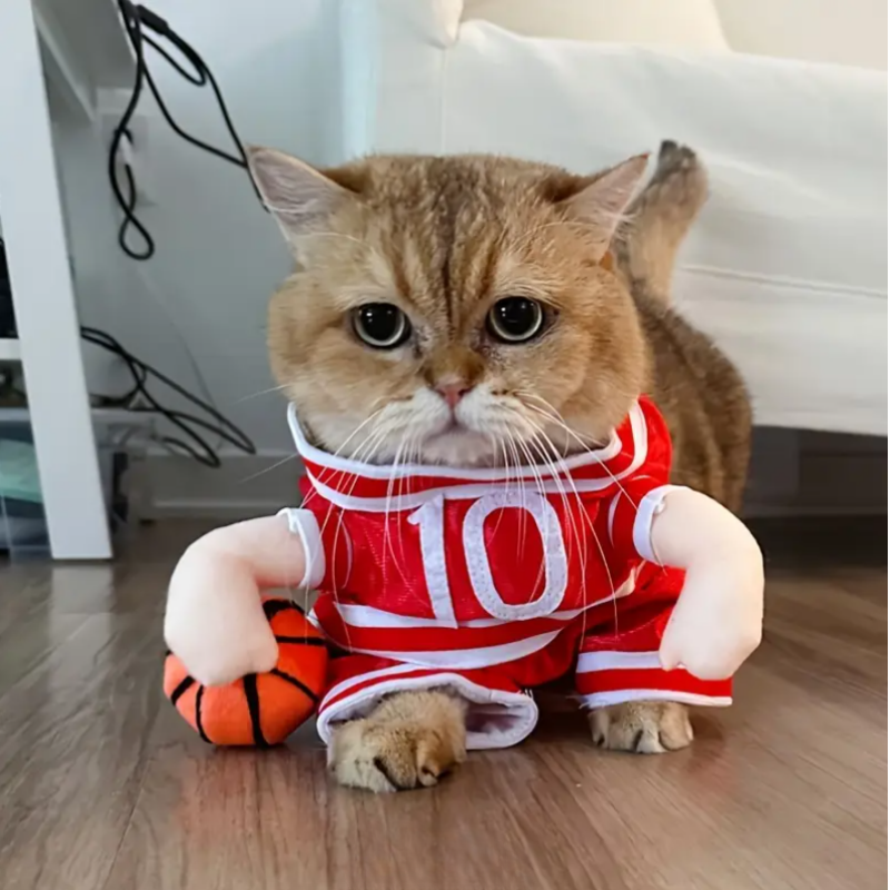 Basketball Player Pet Costume Dogs Cats Jersey Plush Ball Funny Halloween Cosplay Outfit