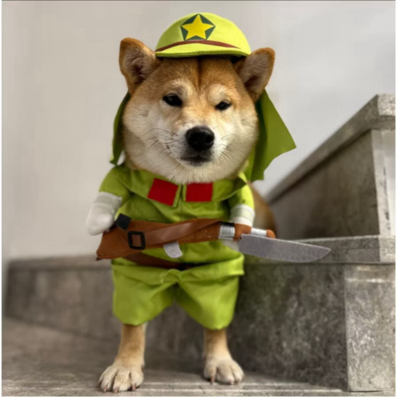 Funny Soldier Pet Costume for Dogs Cats Halloween Cosplay Outfit Cute Pet Shirt