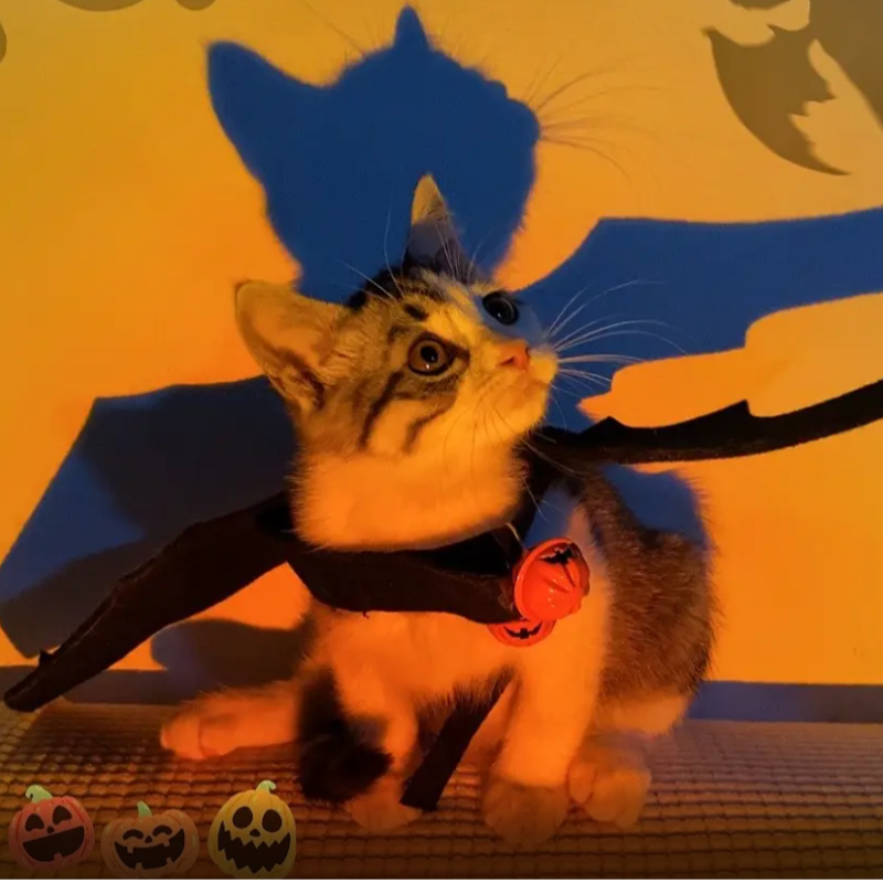 Halloween Pet Bat Wings Costume for Cats Dogs Funny Cosplay Outfit Holiday Decoration