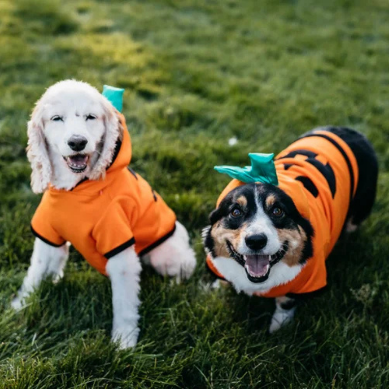 Pet Clothes Funny Pumpkin Clothes WintPumpkin Hooded Outfit for Dogs Cats Small Medium Large Funny Fleece Warm Halloween Pet Costumeer Pet Clothes Halloween Clothes Dog Clothes