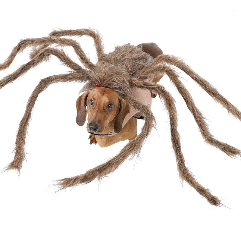 Big Spider Pet Costume for Dogs Cats Funny Halloween Cosplay Outfit Cute Pet Shirt