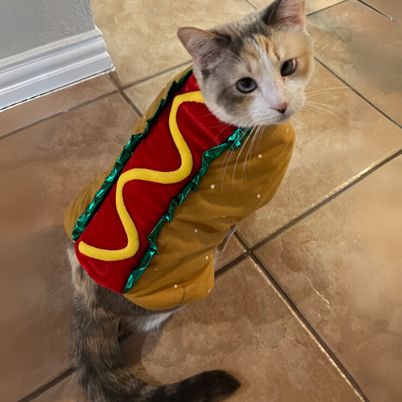 Hot Dog Pet Outfit Cats Puppies Funny Food Hamburger Theme Halloween Party Cosplay Clothes