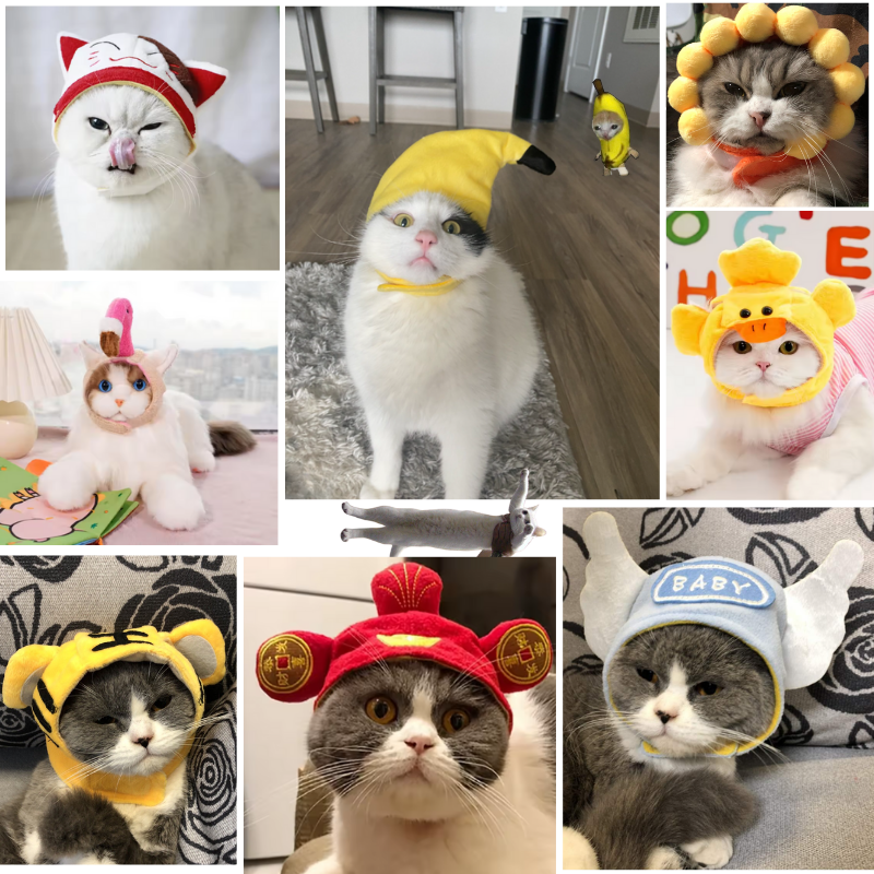 Cotton Cap Dogs Cat Hat Decorative Party Cosplay Halloween Costume Small Medium Large Outfit