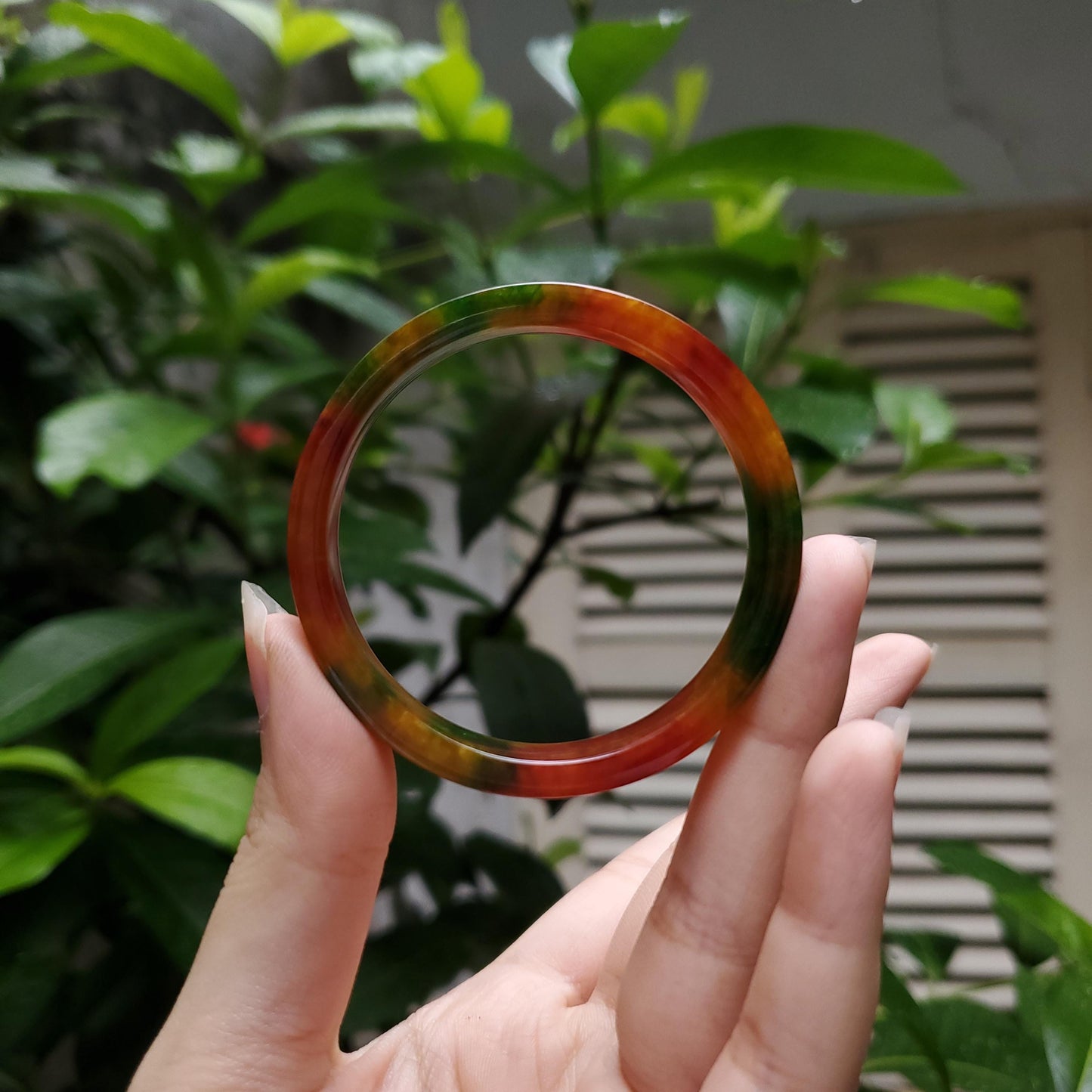 High Quality 48–60mm Jadeite Jade Square Yellow Mix Green Red YingMart Bangle Gift for Her Grandma Mens Personalized