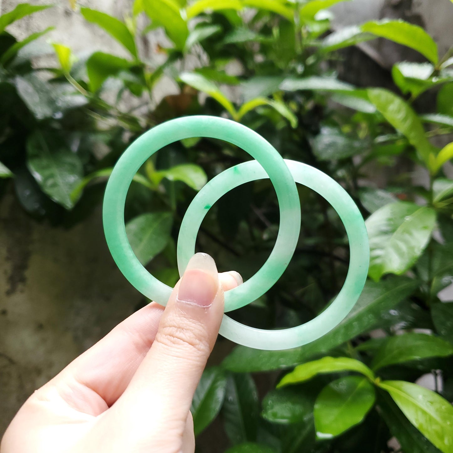 High Quality 48–72mm Natural-Colour Jade Green White Bangle Gift for Her Mom Grandma Feng Shui Personalized Bracelets Jewelry
