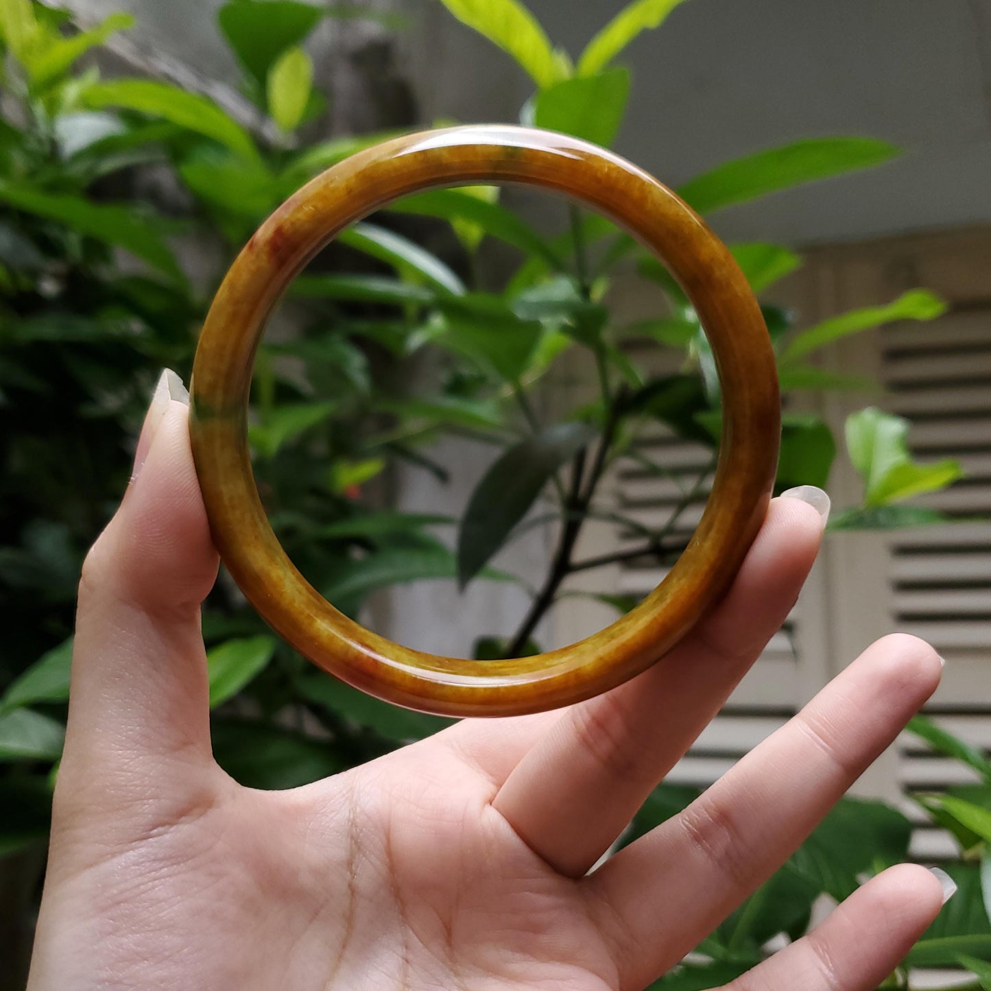 High Quality 48-72mm Jadeite Jade Bangle, Yellow Mixed Green Brown Spot, Burmese, Feng Shui Jewelry, Gift for Mom