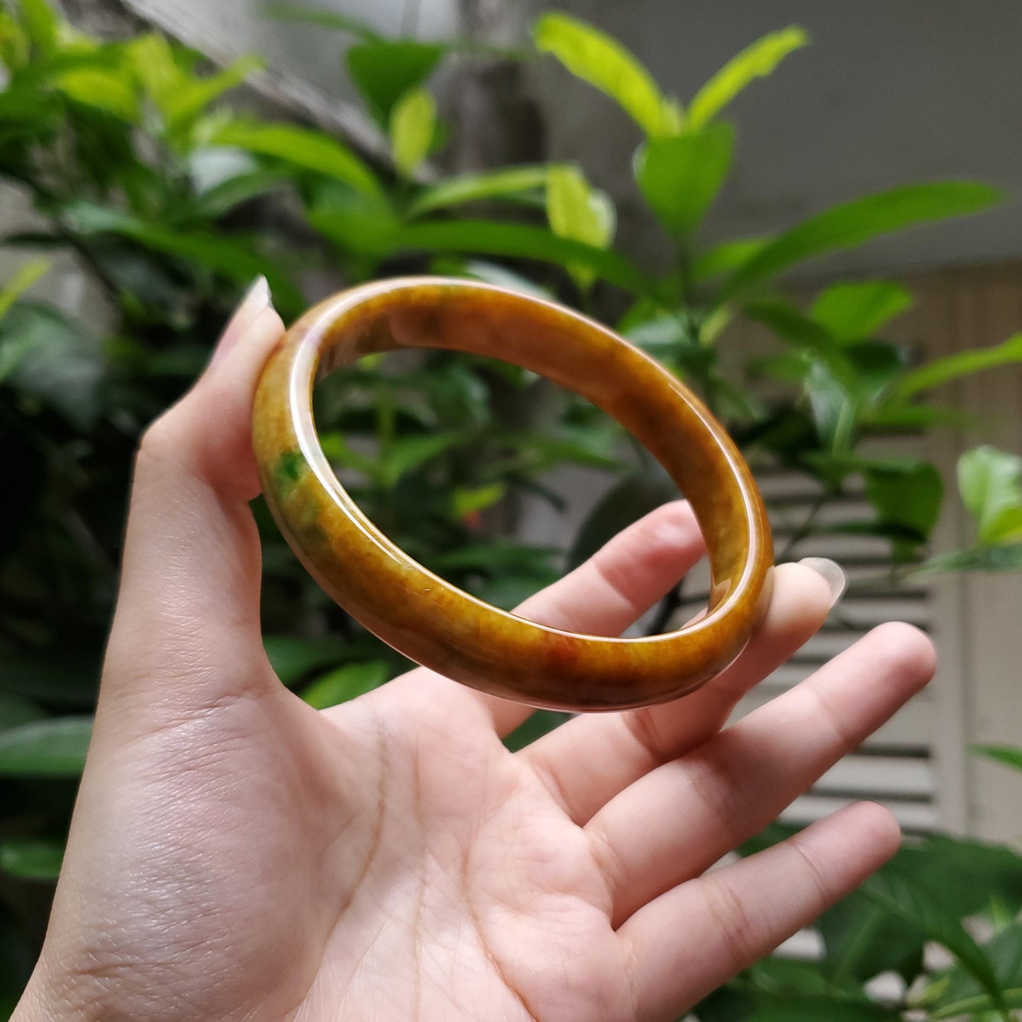 High Quality 48-72mm Jadeite Jade Bangle, Yellow Mixed Green Brown Spot, Burmese, Feng Shui Jewelry, Gift for Mom