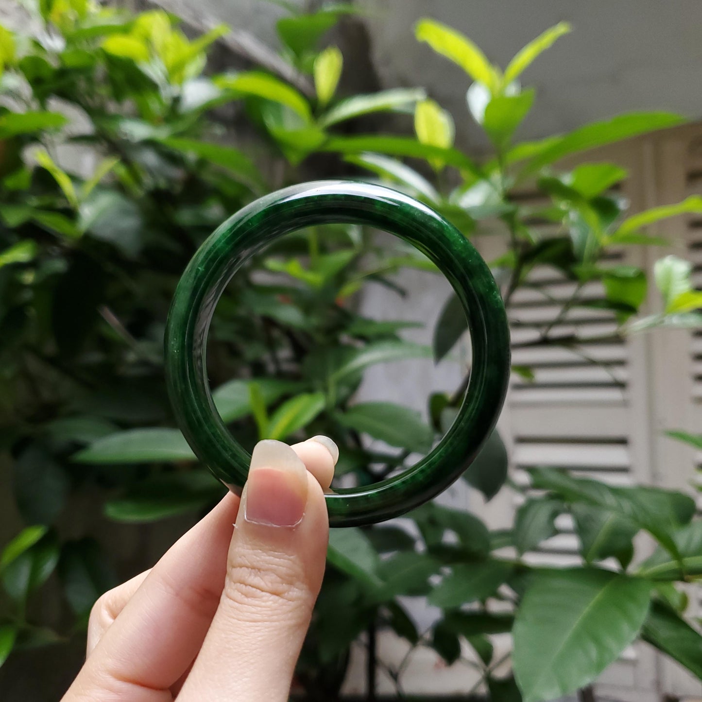 High Quality 48–72mm Jadeite Jade Dark Green Bangle Gift for Her Grandma Mens Mother Sister Feng Shui Personalized