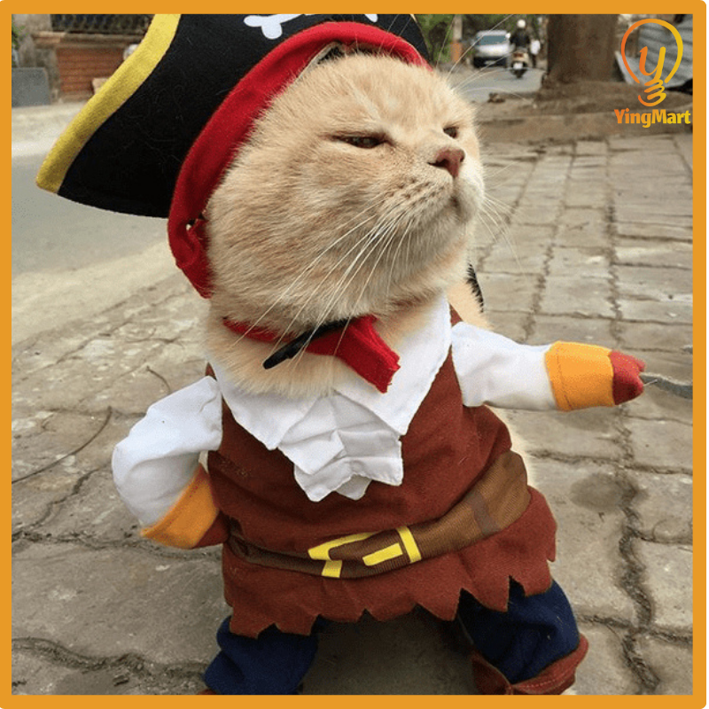 Pirate Costume Set With Hat Cosplay Halloween Christmas Pet Dog Cat Small Medium Large Cute Scary