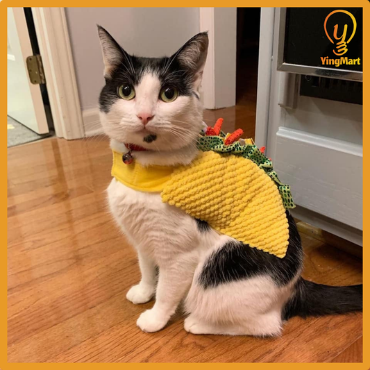 Hamburger Outfit For Cats & Dogs Funny Cute Scary Halloween Cosplay Pet Costume Hat Shirt Suit