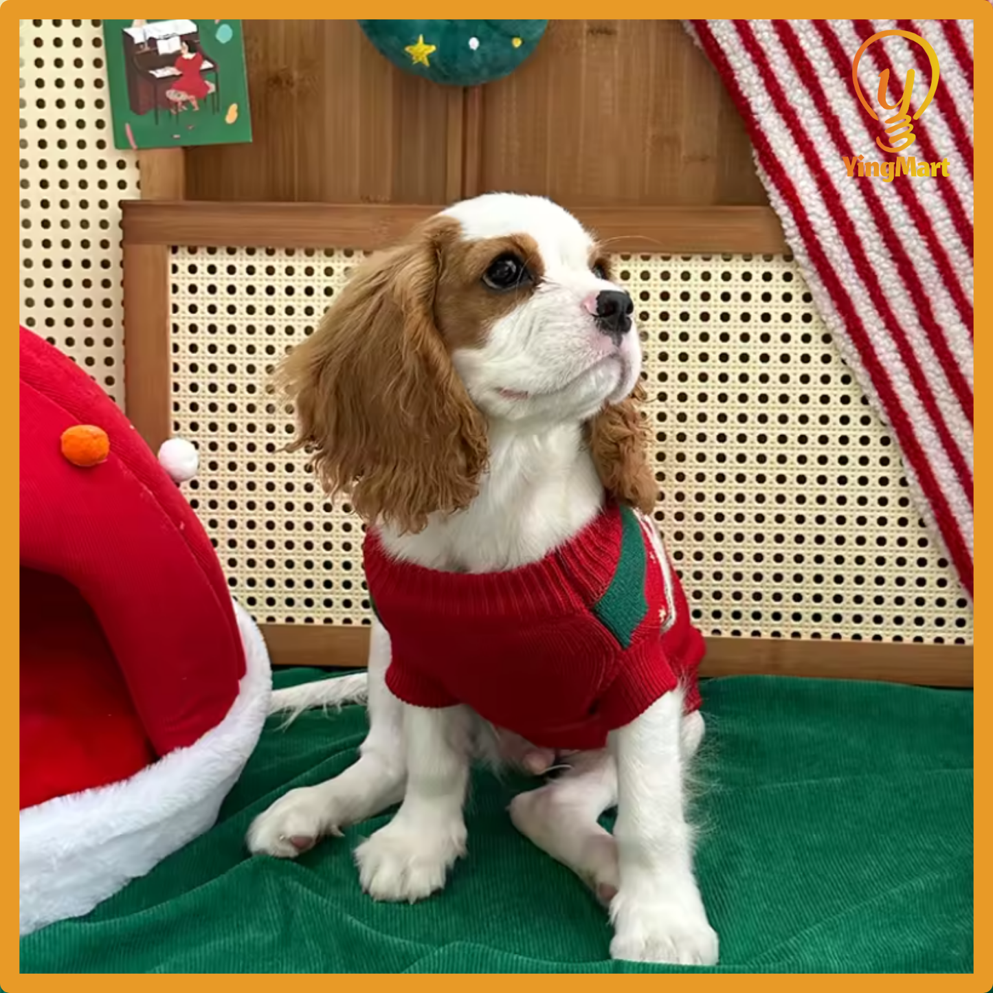 Christmas Cherry Pet Sweater Warm Winter Clothes for Small Dogs Cats Holiday Outfit