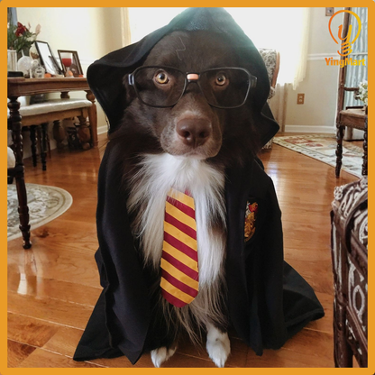 Embroidered Pet Cloak Cat Dog Costume Wizard Cape Halloween Outfit Cosplay Clothes