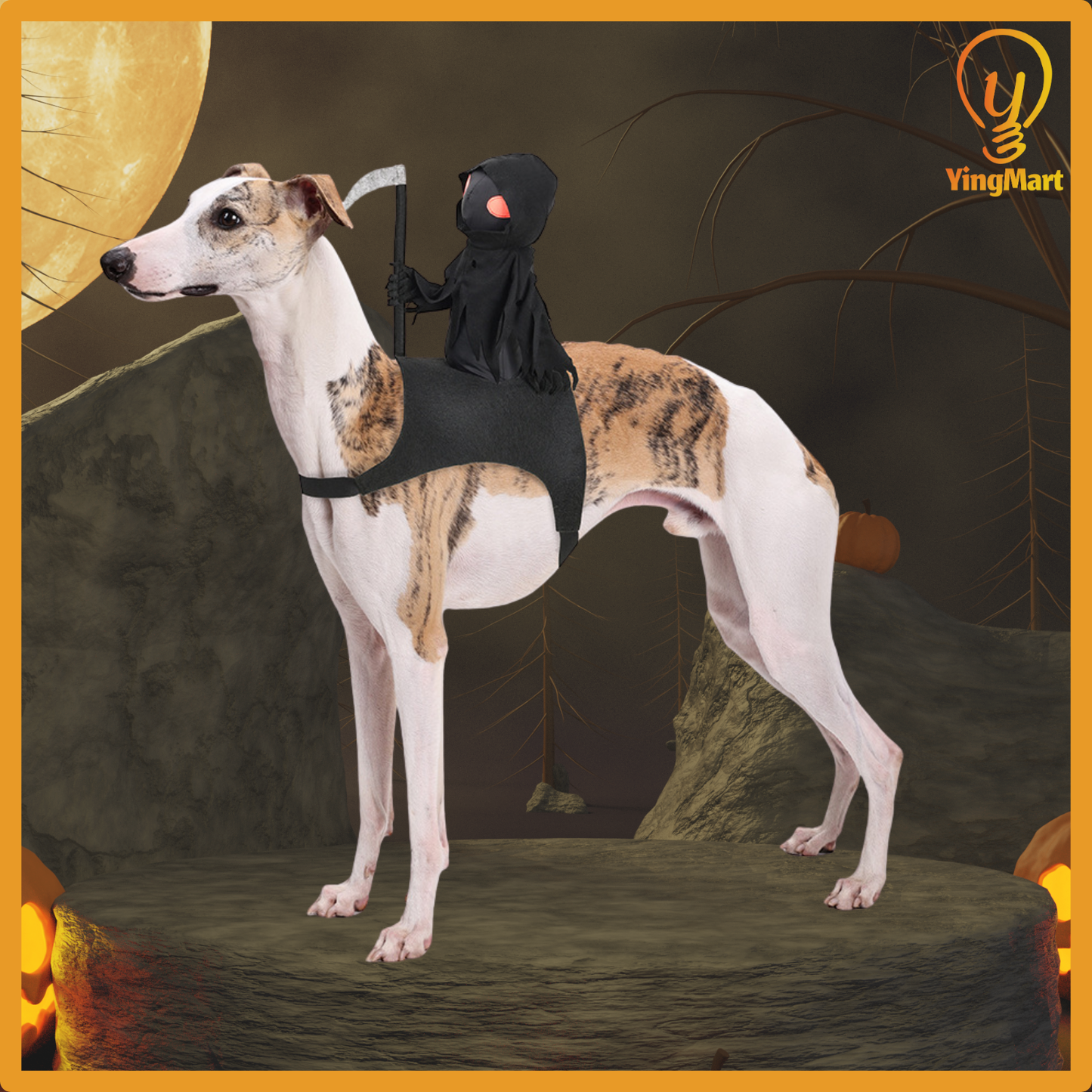 Dark Knight Pet Costume Dog Cat Halloween Cosplay Outfit Cute Rider Shirt for Small Large Pets