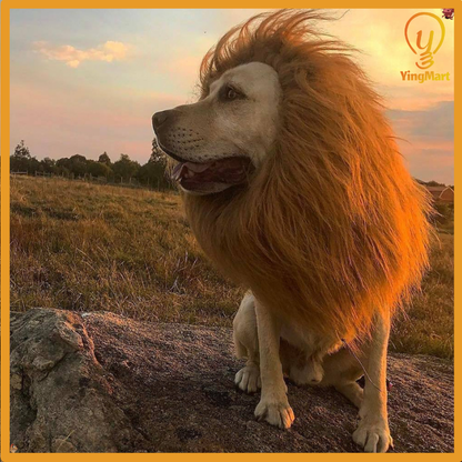 Lion Mane Wig Puppy Kitten Realistic Funny Halloween Cosplay Pet Costume Dog Cat Outfit