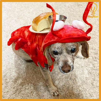 Crayfish Pet Costume Cat Hat Dog Clothes Autumn Winter Transform Outfit Halloween Cosplay