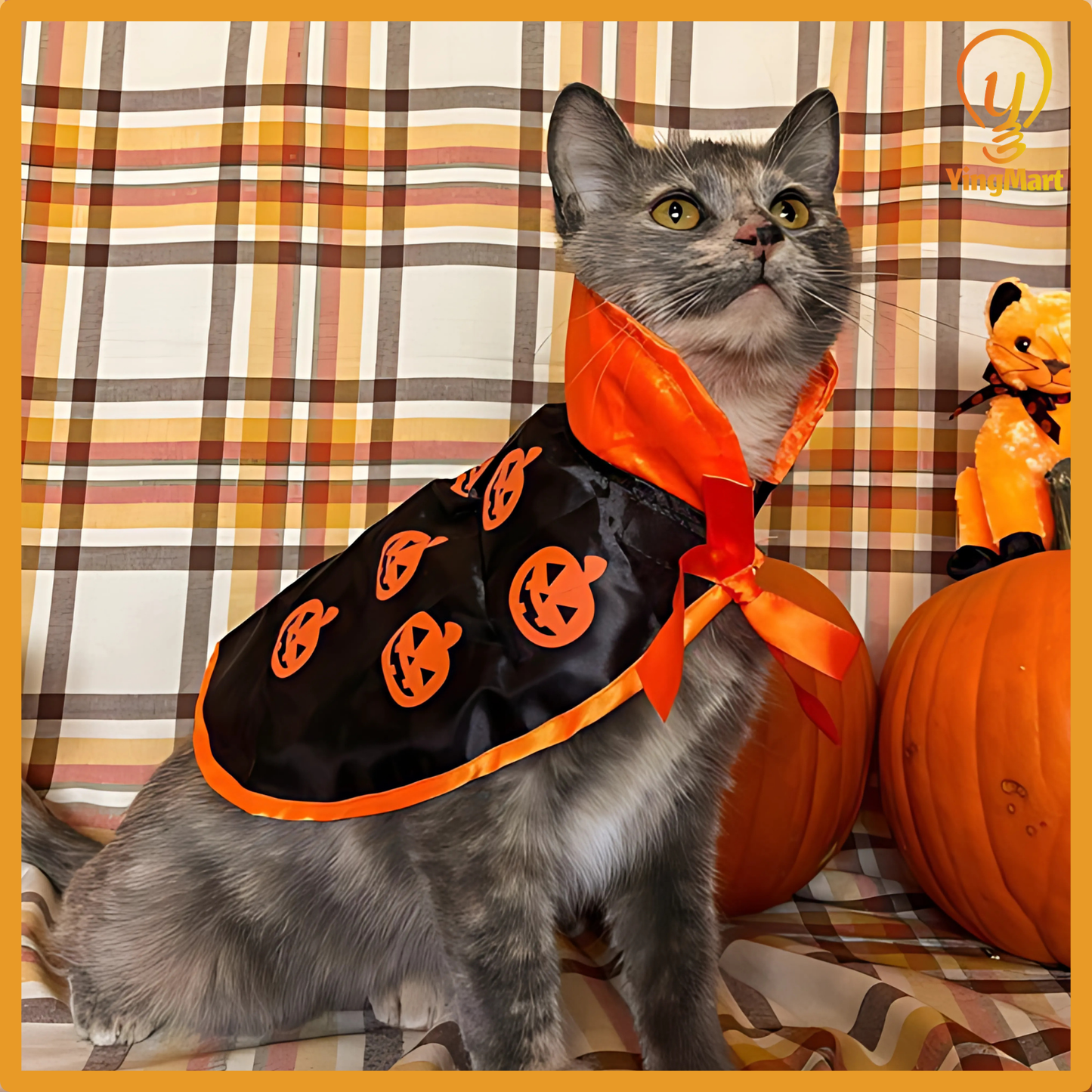 YingMart Halloween Pet Cloak Cat Dog Christmas Dressing – Transfiguration Pet Witch Cloak Cosplay Cape, Easy Fit Halloween Costume
