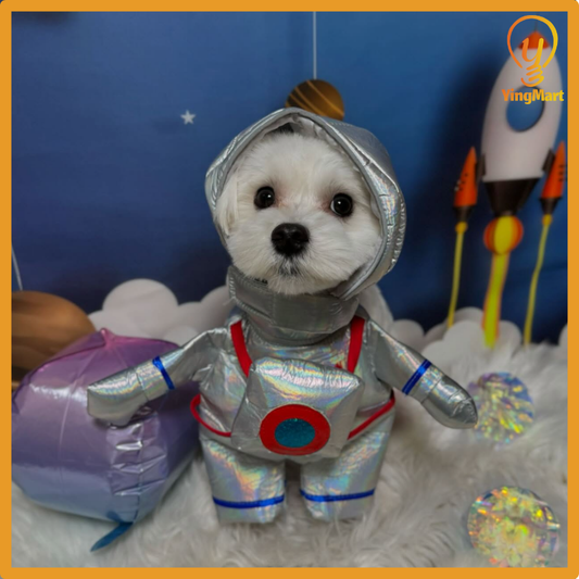 Pet Outfit Cats Dogs Astronaut Courier Standing Funny Halloween Cosplay Small Medium Large