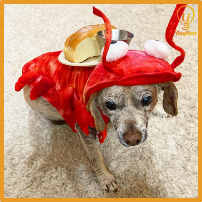 Crayfish Pet Costume Cat Hat Dog Clothes Autumn Winter Transform Outfit Halloween Cosplay