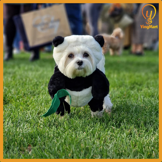 Funny Panda Pet Costume Dress Up Outfit for Dogs Cats Halloween Cosplay Clothes