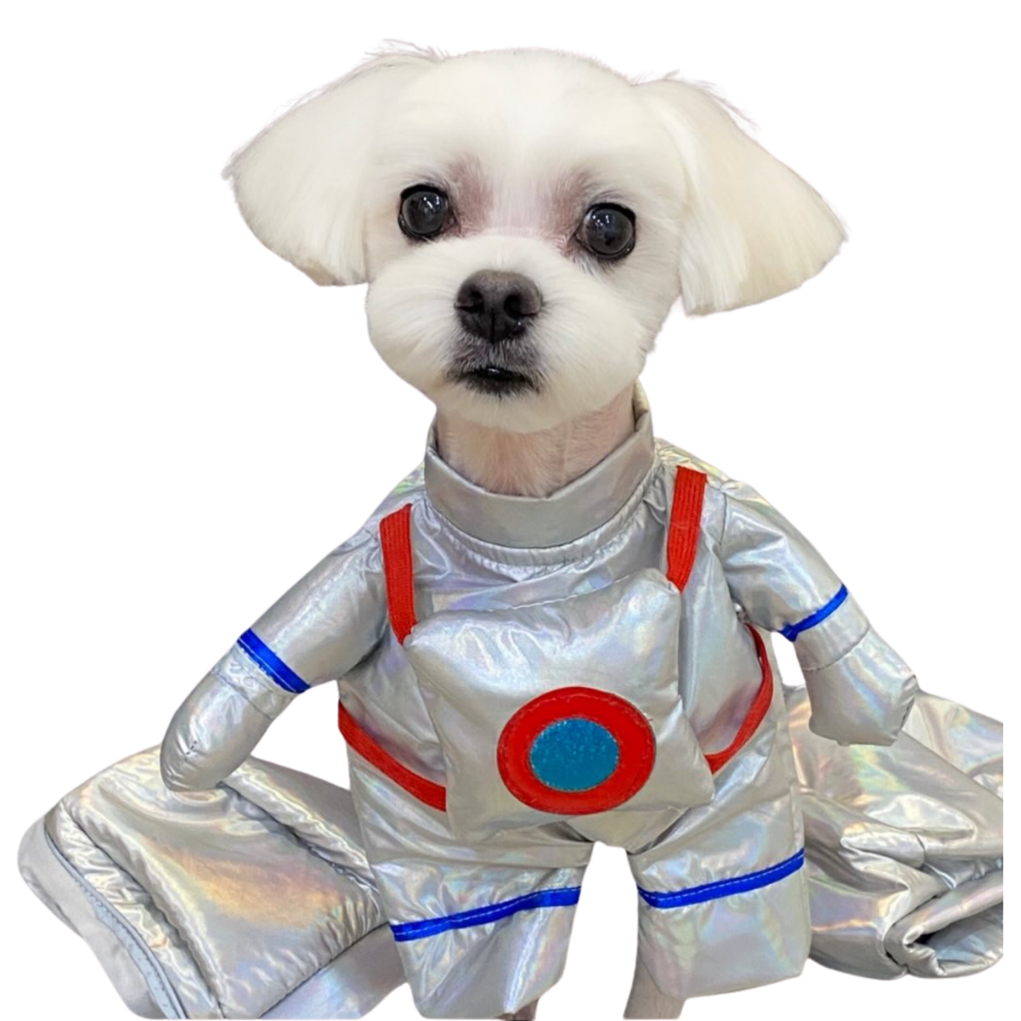 Pet Outfit Cats Dogs Astronaut Courier Standing Funny Halloween Cosplay Small Medium Large