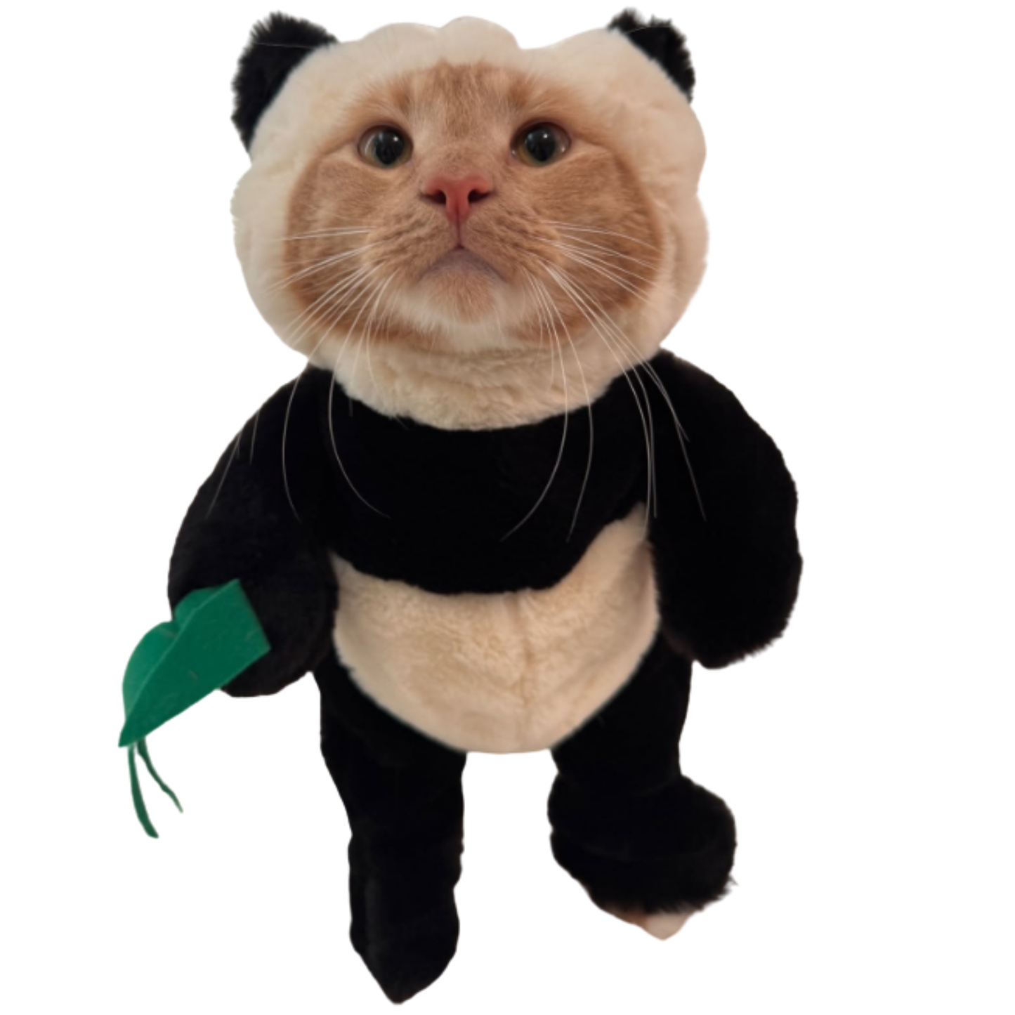 Funny Panda Pet Costume Dress Up Outfit for Dogs Cats Halloween Cosplay Clothes