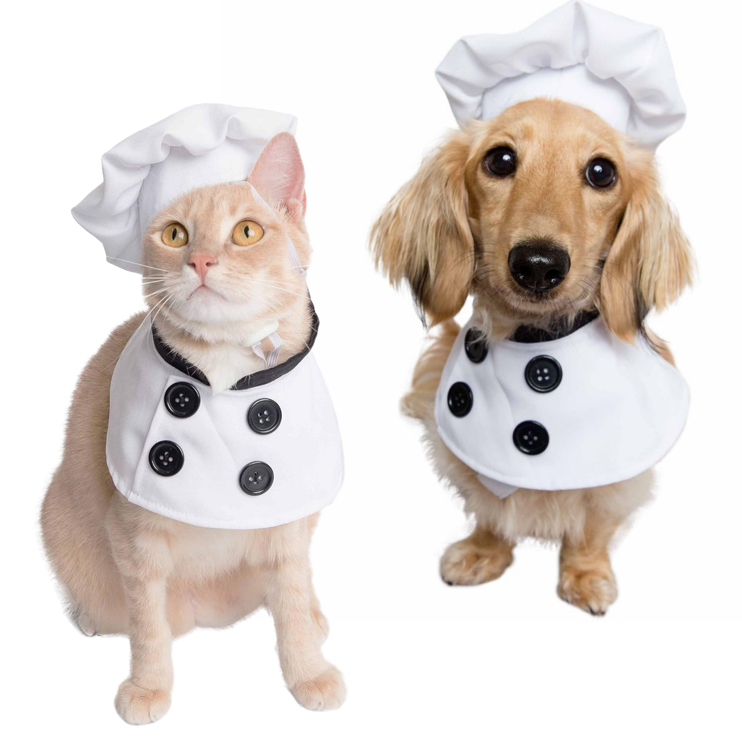 Dog Chef Costume Hat Set Pet Shirt Halloween Cosplay Outfit for Cats Small Large Dogs
