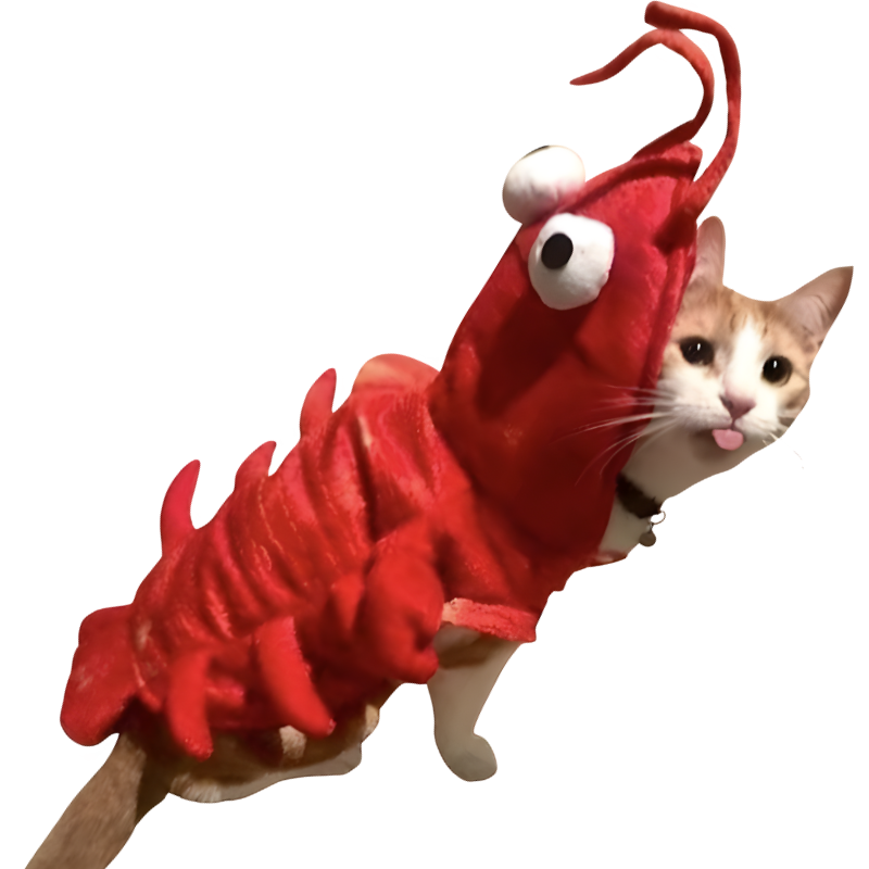 Crayfish Pet Costume Cat Hat Dog Clothes Autumn Winter Transform Outfit Halloween Cosplay
