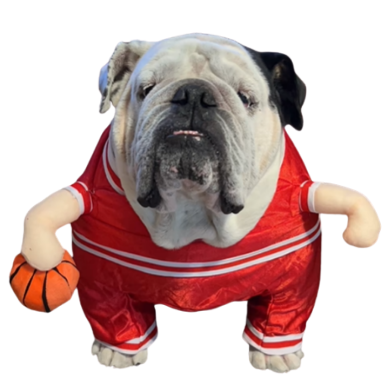 Basketball Player Pet Costume Dogs Cats Jersey Plush Ball Funny Halloween Cosplay Outfit
