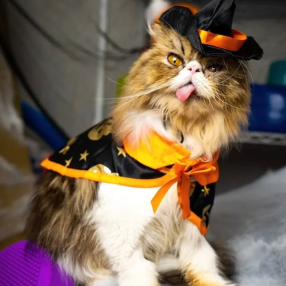 Witch Cloak Hat Set For Cats Dogs Wizard Theme Halloween Party Pet Costume Cosplay